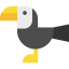 Toucan icon 64x64