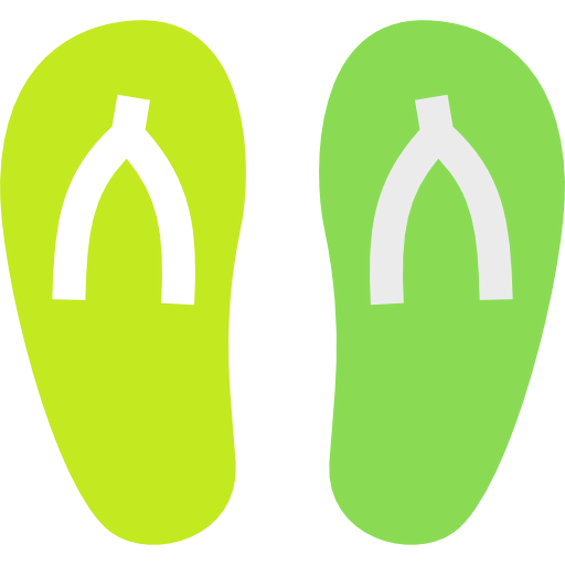 Flip flop icon