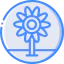 Sunflower icon 64x64