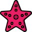 Starfish icon 64x64