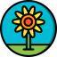 Sunflower icon 64x64