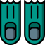 Flippers icon 64x64