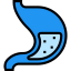 Stomach icon 64x64