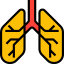 Lungs icon 64x64