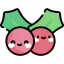 Mistletoe icon 64x64