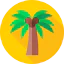 Palm tree 图标 64x64