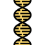 Dna structure biểu tượng 64x64