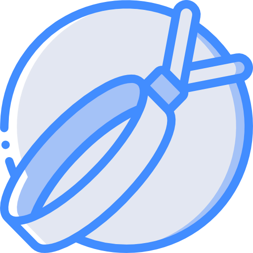 Bracelet icon