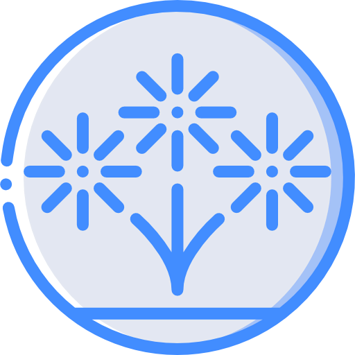 Fireworks icon