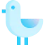Seagull icon 64x64