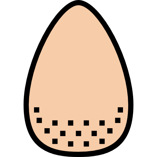 Egg icon