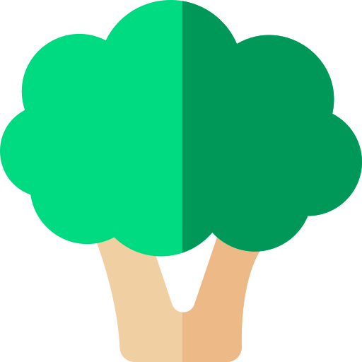 Broccoli icon