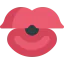 Lips icon 64x64