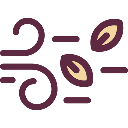 Wind icon
