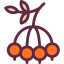 Berry icon 64x64