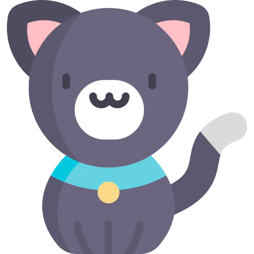 Cat 상