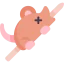Rat іконка 64x64