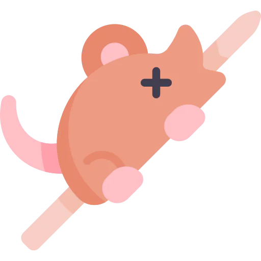 Rat 상
