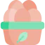 Organic eggs icône 64x64