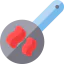 Bacon icon 64x64