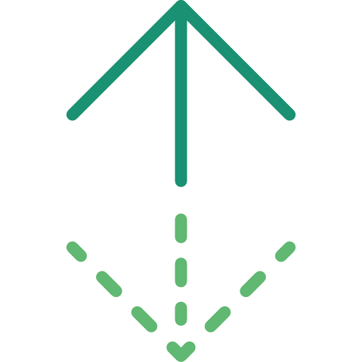 Double arrow icon