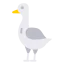 Goose icon 64x64