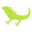 Iguana icon 64x64