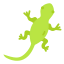 Lizard icon 64x64