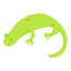 Salamander icon 64x64