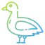 Duck icon 64x64