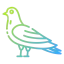 Pigeon アイコン 64x64