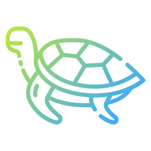 Turtle icon