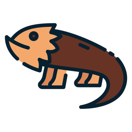Lizard icon