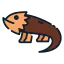 Lizard icon 64x64