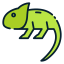 Chameleon icon 64x64