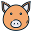 Pig icon 64x64