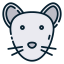Rat icon 64x64