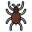 Tarantula icon 64x64