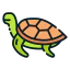 Turtle icon 64x64