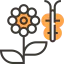 Flower icon 64x64