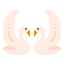 Swan icon 64x64
