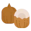 Coconut ícono 64x64