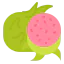 Dragon fruit іконка 64x64