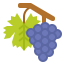 Grapes ícono 64x64