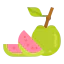 Guava ícono 64x64