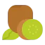 Kiwi ícono 64x64
