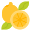 Lemon ícono 64x64