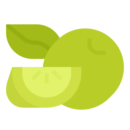 Lime icon