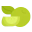 Lime ícono 64x64