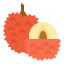 Lychee ícono 64x64